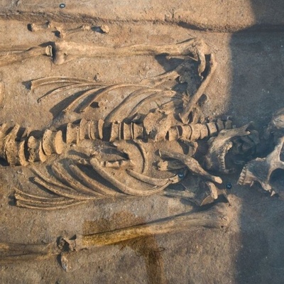 Facial Reconstruction of a 3,800-Year-Old Bronze Age Woman from Her Skeleton + Photos