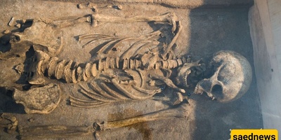 Facial Reconstruction of a 3,800-Year-Old Bronze Age Woman from Her Skeleton + Photos