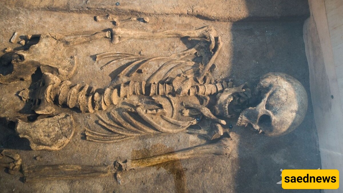 Facial Reconstruction of a 3,800-Year-Old Bronze Age Woman from Her Skeleton + Photos