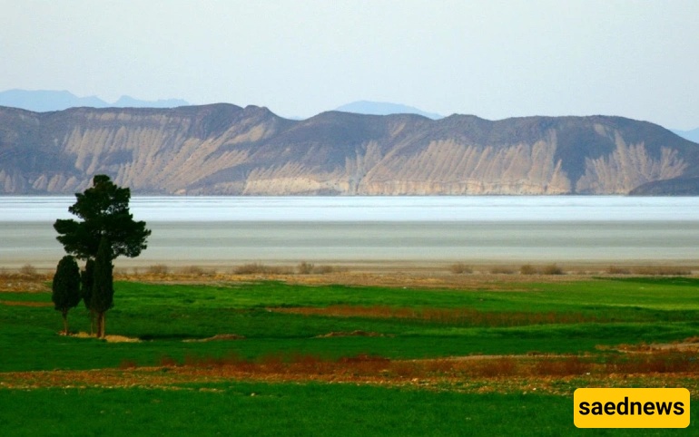Shiraz Nature