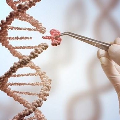 How Much of Success Is Written in Your Genes?