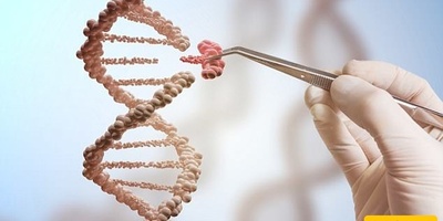 How Much of Success Is Written in Your Genes?