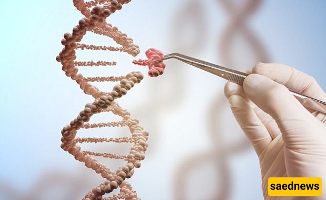 How Much of Success Is Written in Your Genes?