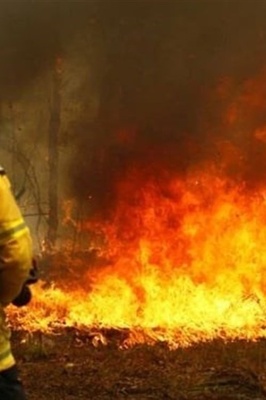 Scorching Winds Ignite Scores of Bushfires Across Eastern Australia