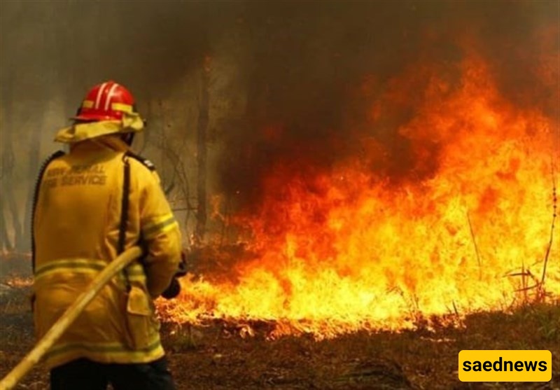Scorching Winds Ignite Scores of Bushfires Across Eastern Australia