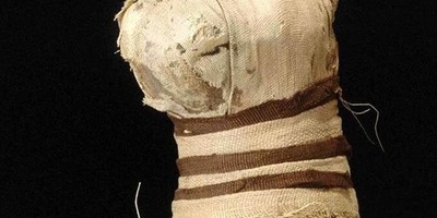 Unusual Mummified Cat with 5 Legs and 3 Tails + Photo