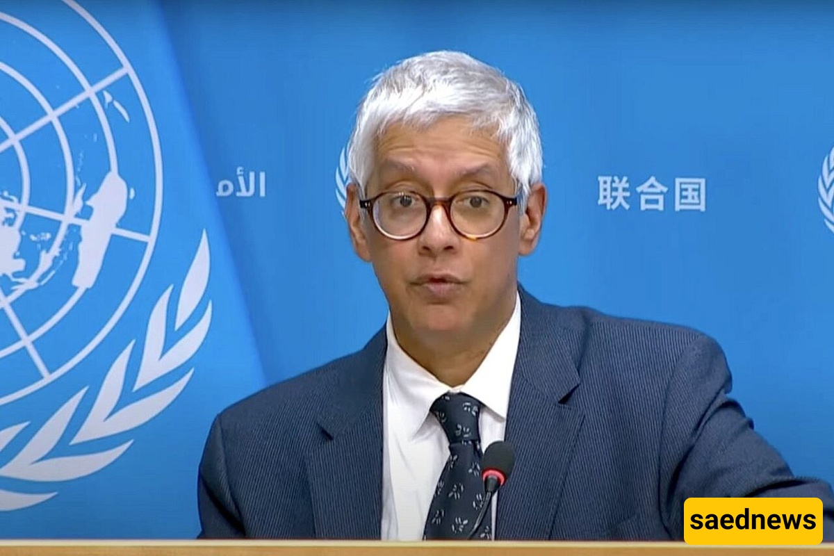 UN Spokesperson: Widespread Support For Palestinian Statehood is Significant