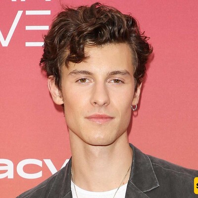 Shawn Mendes is BACK: New Album Release Date Finally Revealed After Two Year Hiatus!