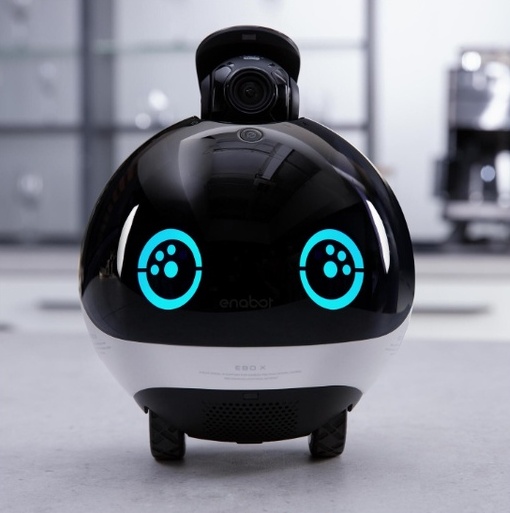 Robots for Emotional & Senior Care (EBO X, ElliQ, etc.)