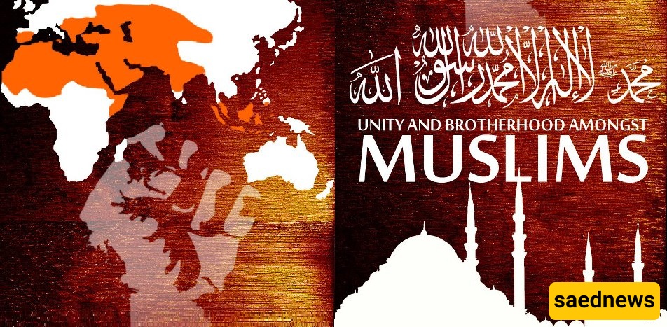 A Timely Call: How Prophetic Guidance Could Unite the Muslim World