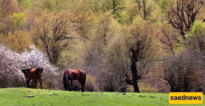 “Discover 30 Untouched Northern Gems(Hidden Spots You Didn’t Know Existed!)