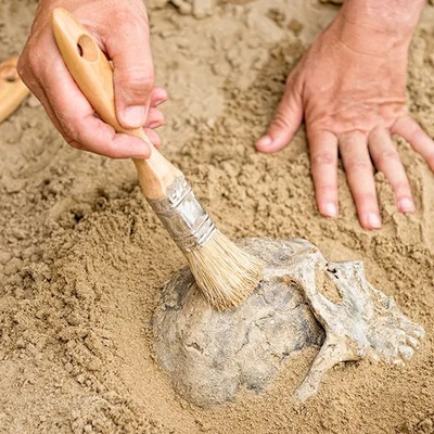 Scientists’ Major Suspicion in Identifying the Oldest Animals on Earth
