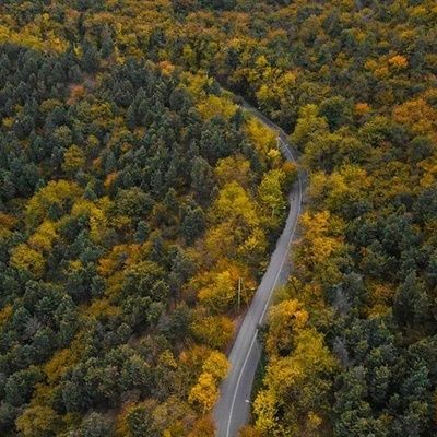 Mazandaran’s Forests Ablaze in Autumn Splendor