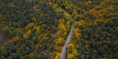 Mazandaran’s Forests Ablaze in Autumn Splendor