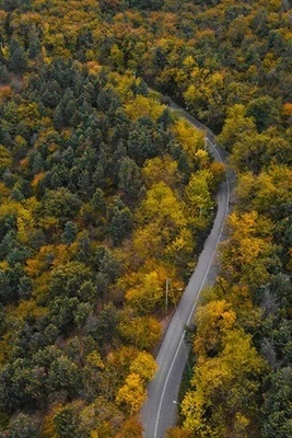 Mazandaran’s Forests Ablaze in Autumn Splendor