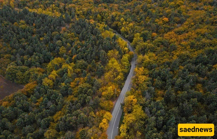 Mazandaran’s Forests Ablaze in Autumn Splendor
