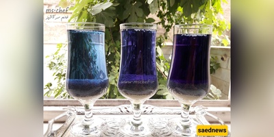 Mallow Flower (Panirak) Syrup with Varied Natural Colors