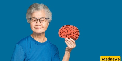 Secrets To Maintaining Brain Health How To Prevent Brain Decline