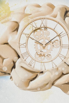 Understanding Time Perception In The Human Brain: Why Does Time Feel Slower In Childhood?