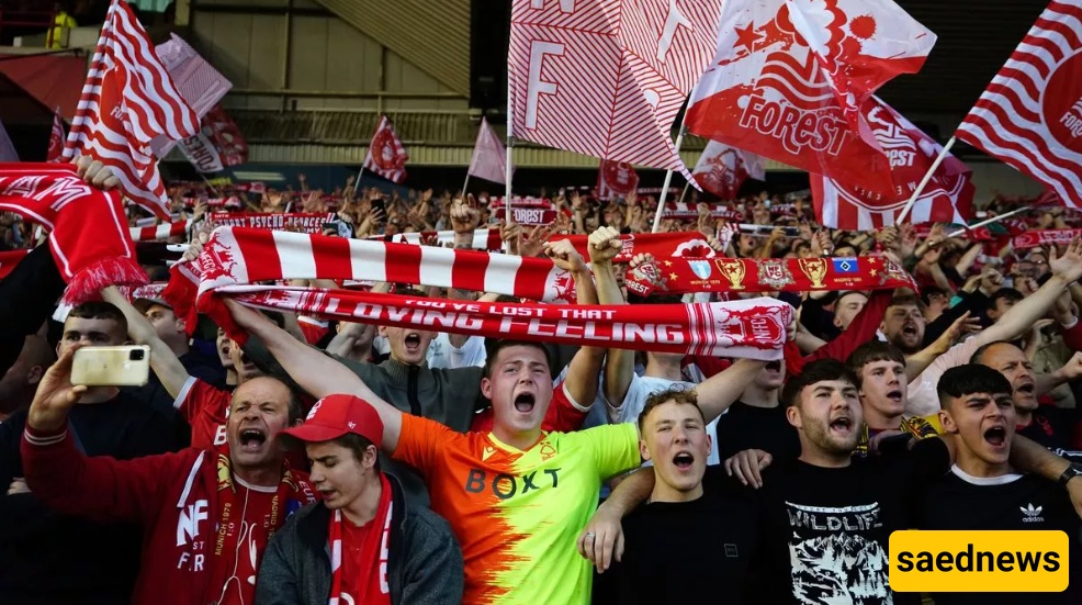 Forest Fans