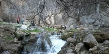 Discover the Attractions of Neyriz, Fars Province