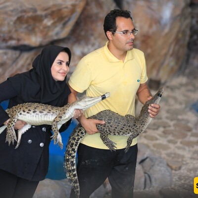 Exclusive Interview of Saed News with the Famous Mashhadi Couple, Founders of the First Crocodile Park in Iran