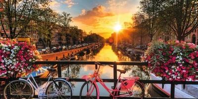 A Stroll Through Amsterdam, the City of Flowers and Bicycles