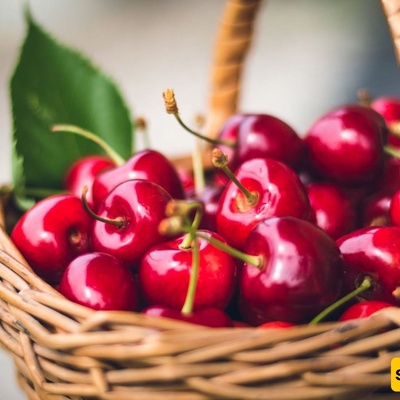 Cherries: Calories, Nutritional Value, and Amazing Health Benefits