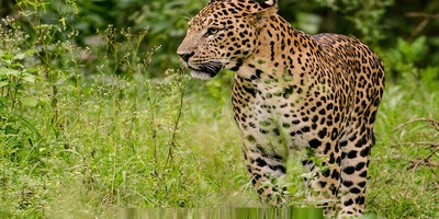 Exploring the Stunning Wonders of the Kaghazkonan Region in East Azerbaijan: From Ancient Burnt City to Unique Wildlife