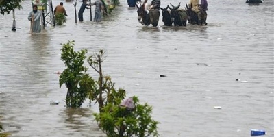 Floods Impact 4.2 Million People in Pakistan’s Punjab, Spotlighting Local Resilience