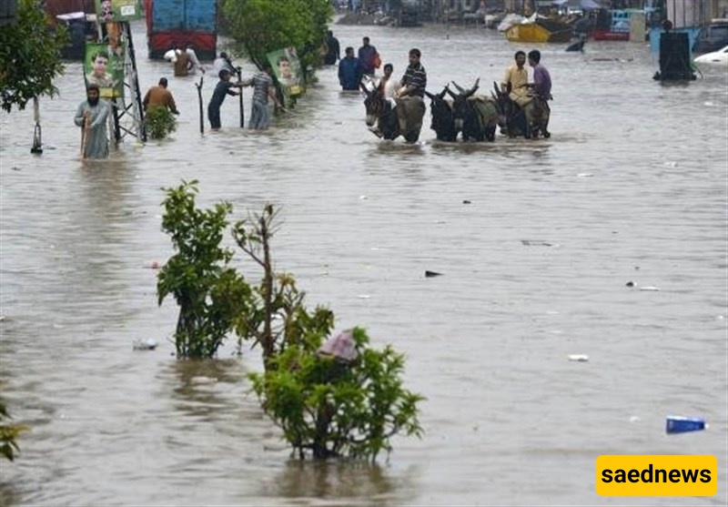 Floods Impact 4.2 Million People in Pakistan’s Punjab, Spotlighting Local Resilience