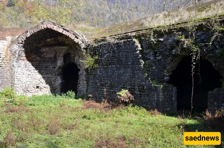 carvansara titi