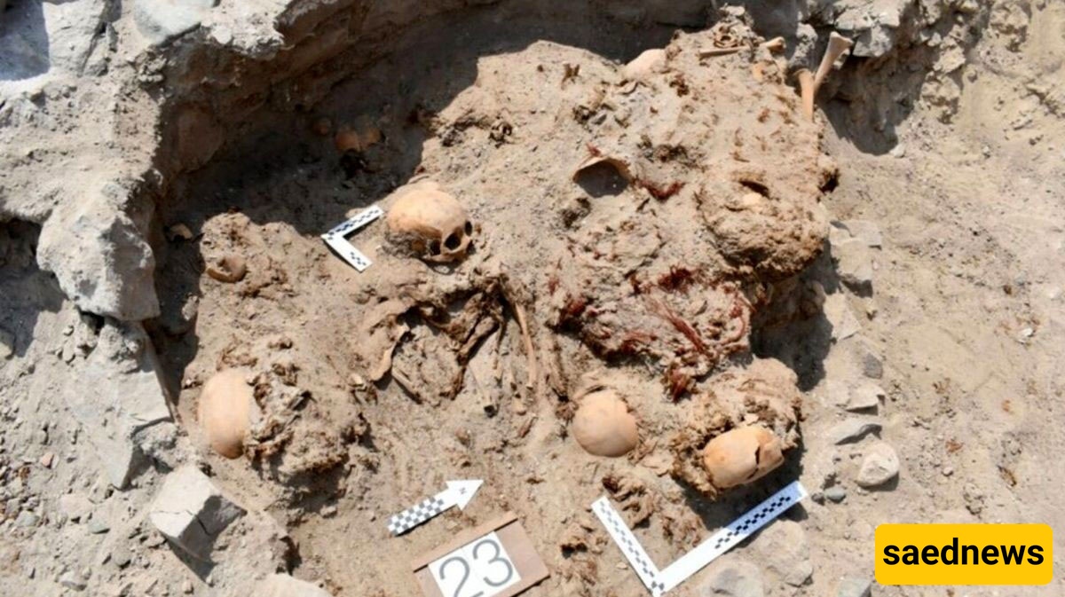 A Horrific Thousand-Year-Old Disaster in Peru: Bloody Graves of Men, Women, and Children with Crushed Skulls Discovered! + Photos