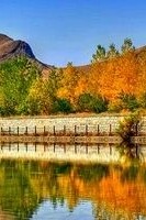 Top Reasons to Travel to the Villages of Saveh