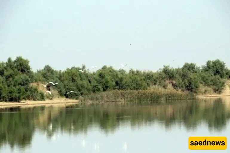 Sheef Island
