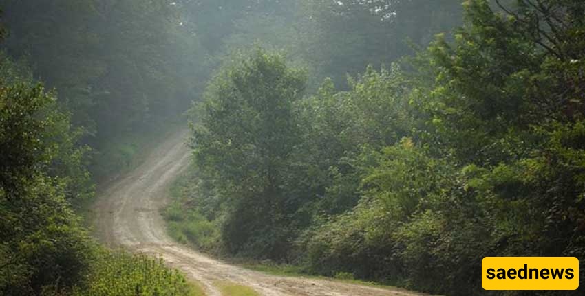 Lajim Forest