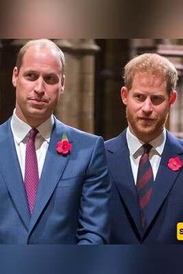 Tensions Rise: Prince William's Fury Over Prince Harry's Remarks on Princess Diana