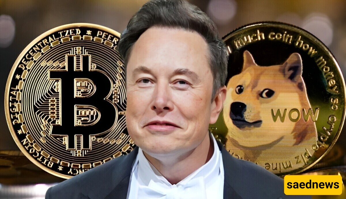 Photo | Becoming a Millionaire in 24 Hours: Elon Musk Increased the Price of This Cryptocurrency by Changing His Name