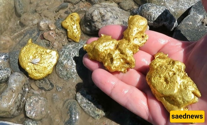 Gold Mine