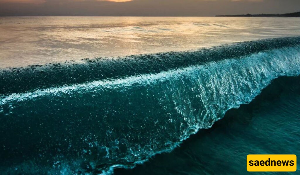Why Can’t We Drink Salt Water?