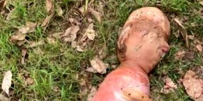 Birth of a Strange Animal with a Human-Like Head in Thailand