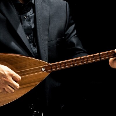 Everything About the Divan, a String Instrument!