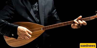 Everything About the Divan, a String Instrument!