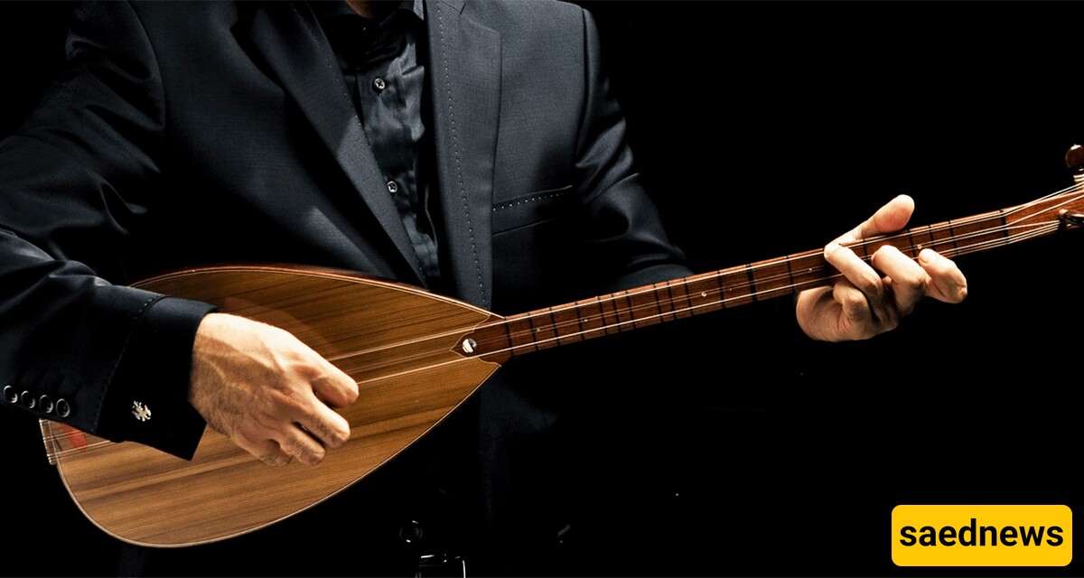 Everything About the Divan, a String Instrument!