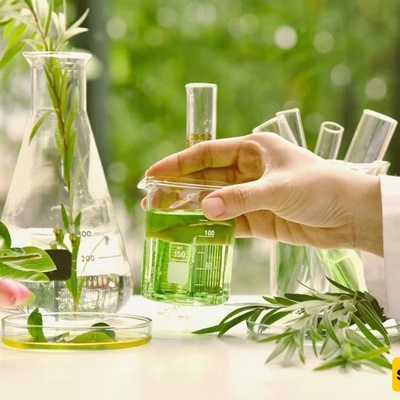 Phytochemistry Major: Exploring the World of Plant Compounds