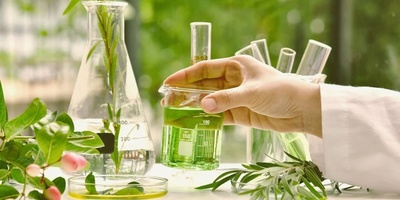 Phytochemistry Major: Exploring the World of Plant Compounds