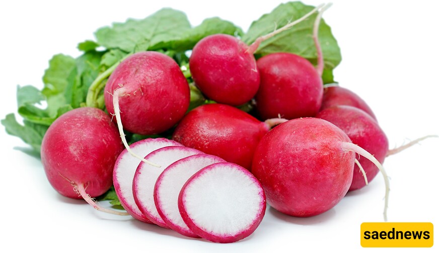 Radish