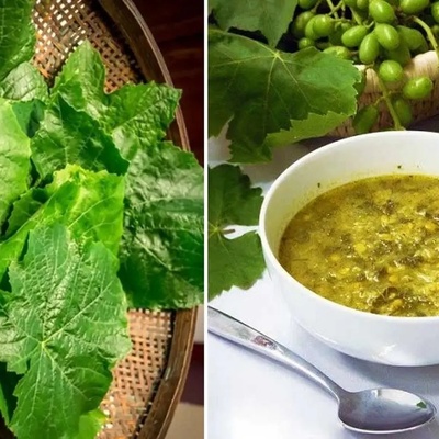 Grape Leaf Soup | How to Prepare “Grape Leaf Soup” from Urmia