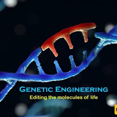 Beyond the Genome: The Societal and Ethical Impact of Gene Editing Technology