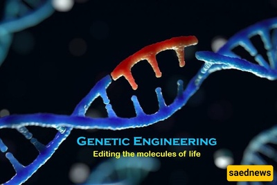 Beyond the Genome: The Societal and Ethical Impact of Gene Editing Technology